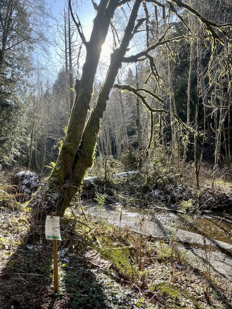 Lodges on Vashon photo 23