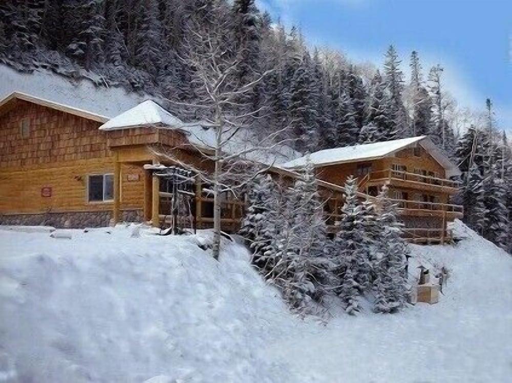 Snow Bear Inn photo 7