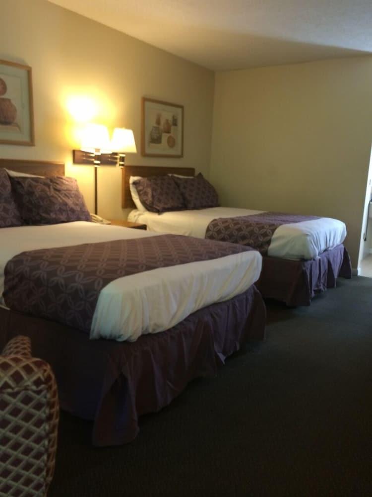 Drama Inn photo 28