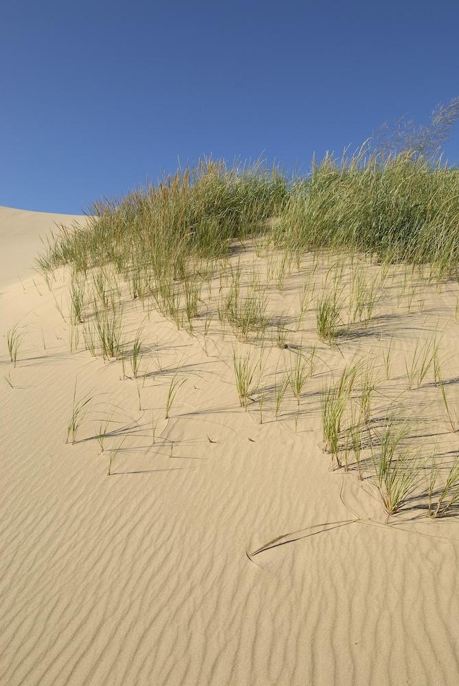 Dunes Waterfront Resort photo 43