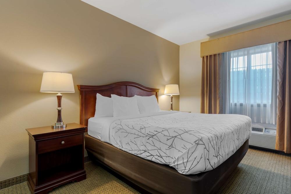 Best Western Plus Sweetwater Inn & Suites photo 16