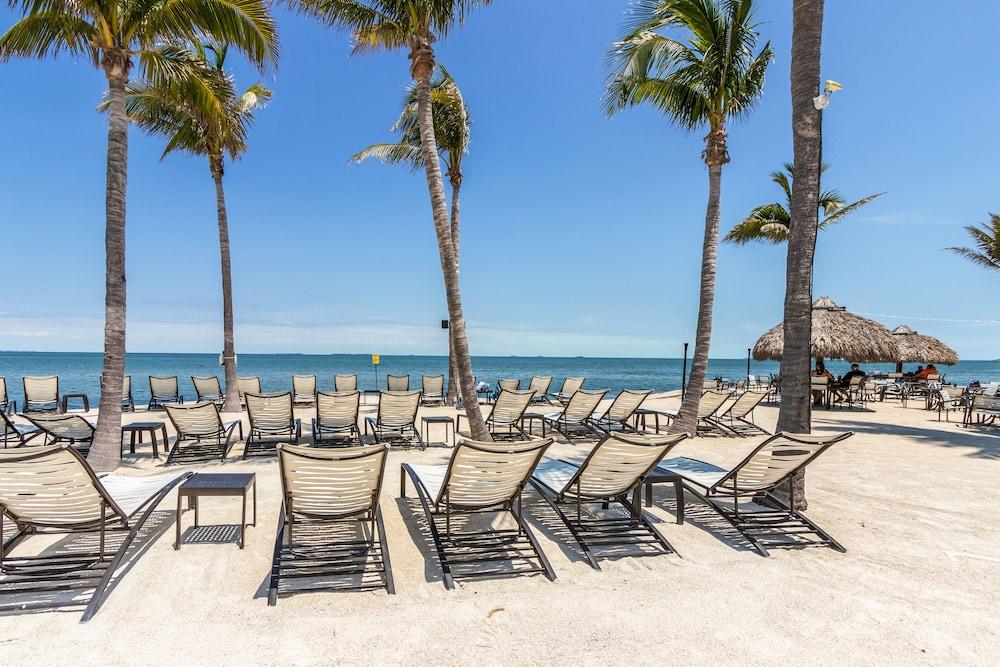 Fiesta Key RV Resort photo 45