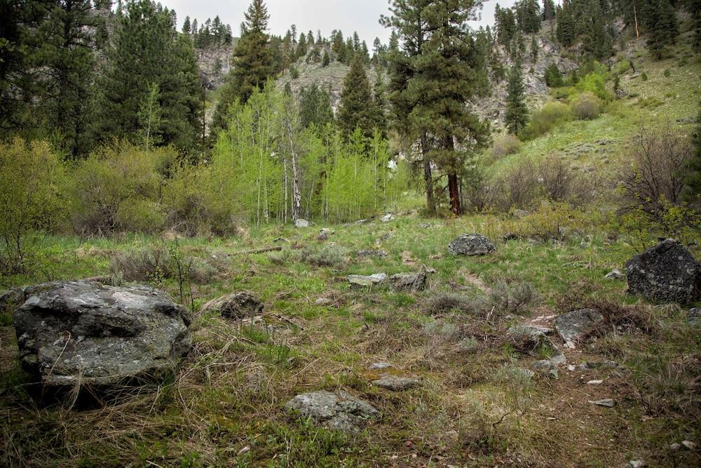 Sawtooth Lodge photo 70