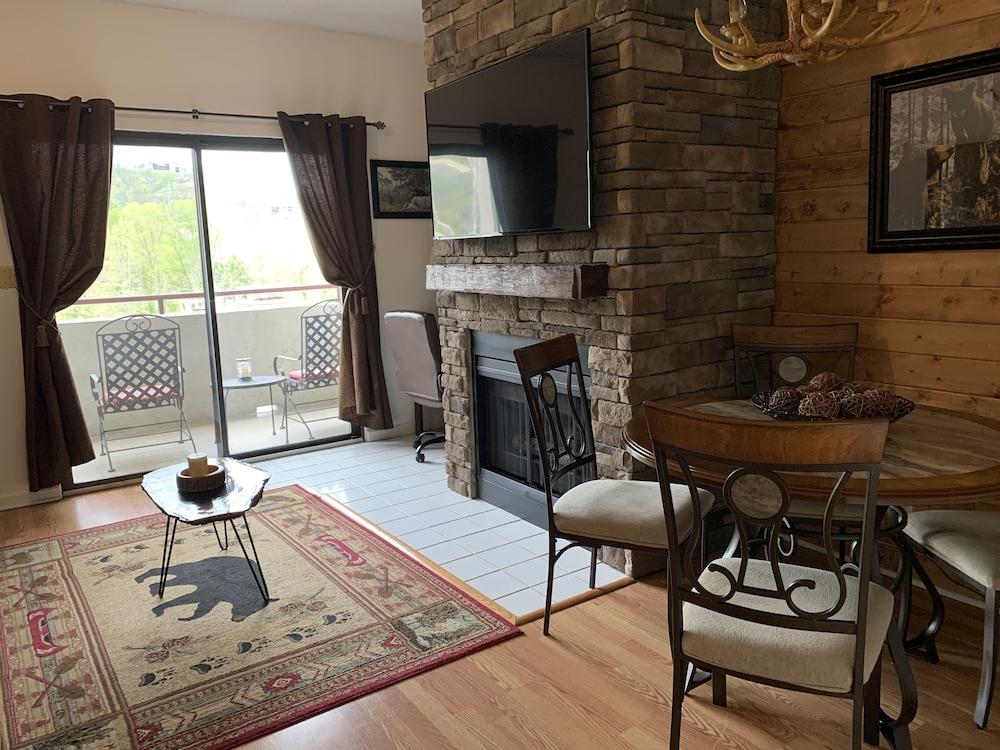 Laurel Inn Condominium photo 89