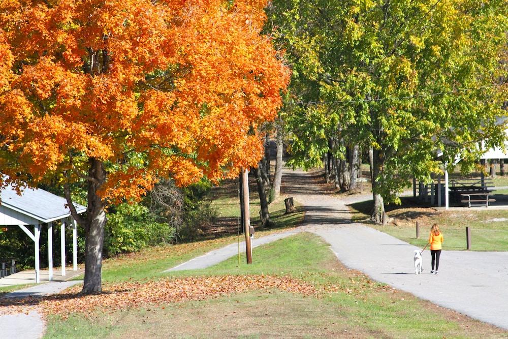Barren River Lake State Resort Park photo 20