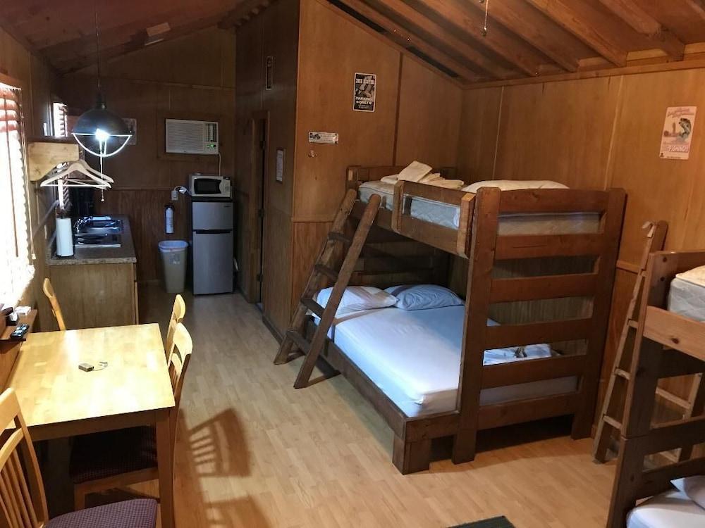 The Delacroix Lodge photo 2