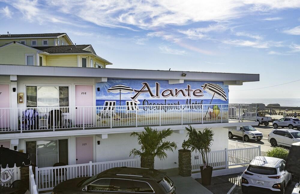 Alante Oceanfront Motel photo 12