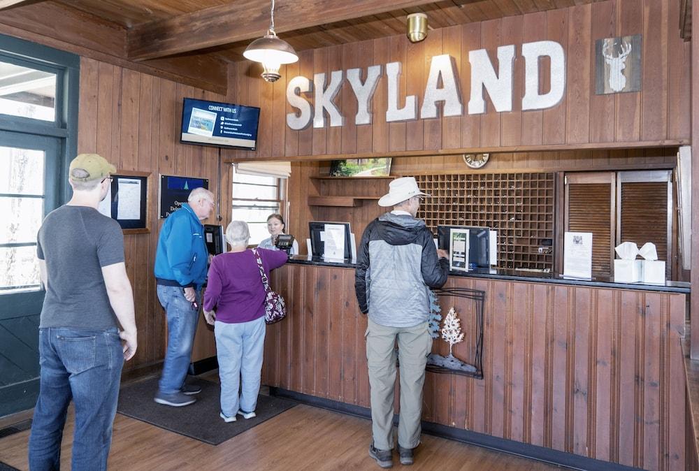 Skyland photo 26
