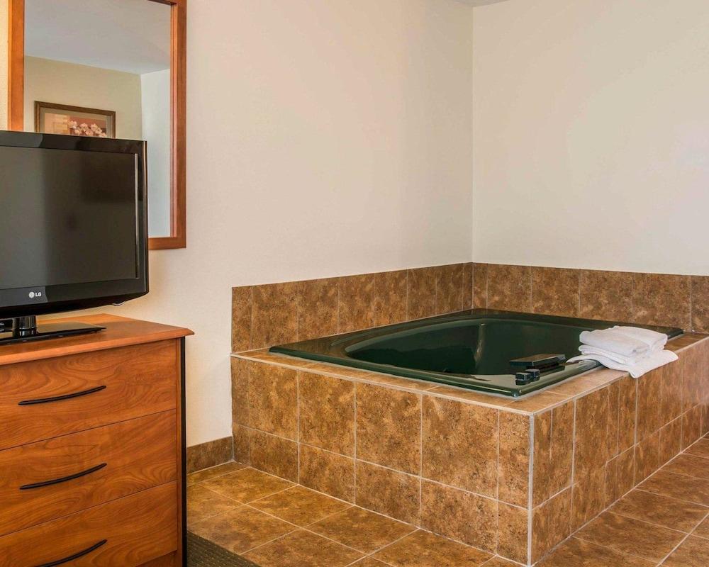Quality Inn Durand I-69 photo 9