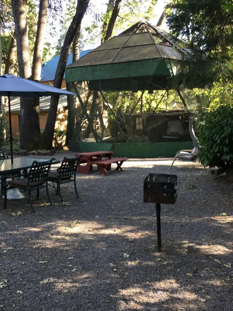 Cedar Lodge Motel photo 24