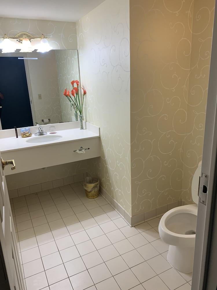 French Quarter Inn photo 8
