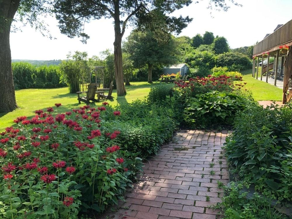 Spring Garden Inn photo 9