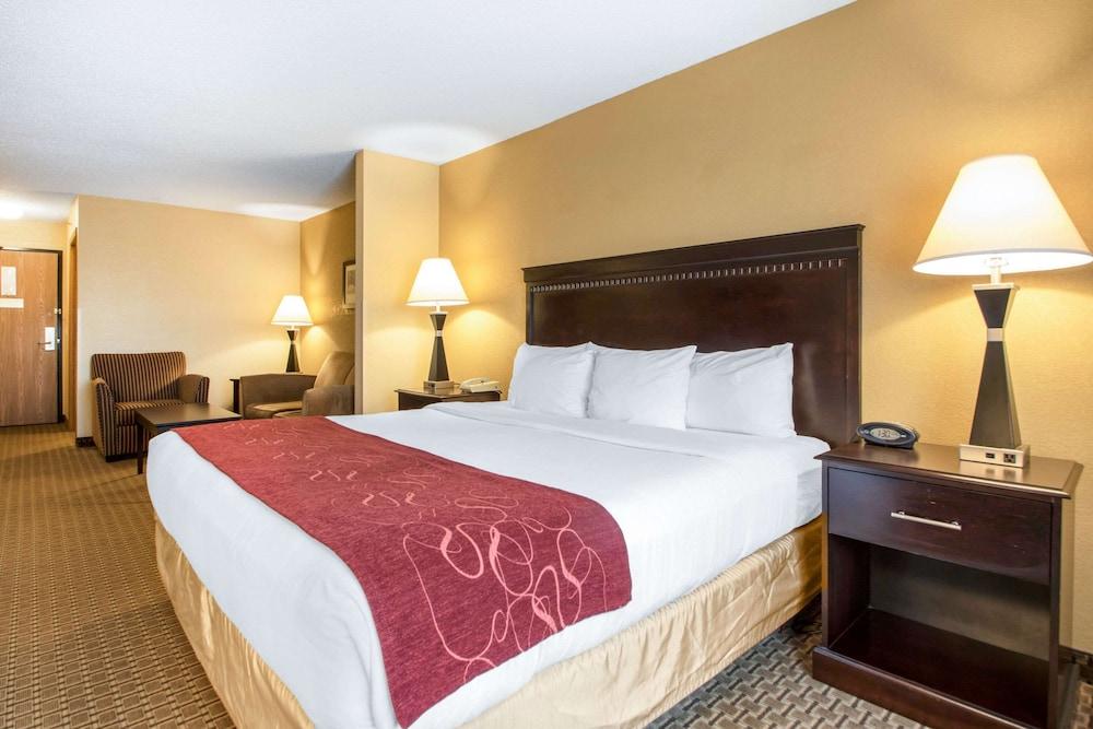 Comfort Suites Wisconsin Dells Area photo 32