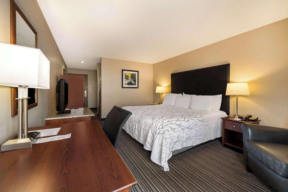 Best Western Park Oasis Inn photo 31