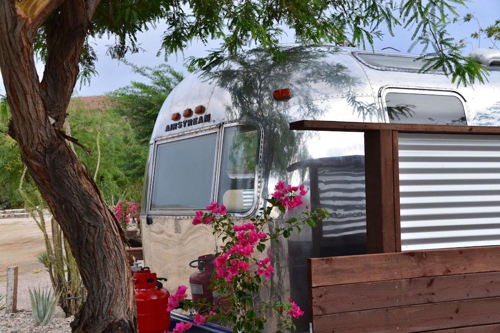 Palm Canyon Hotel & RV Resort photo 50