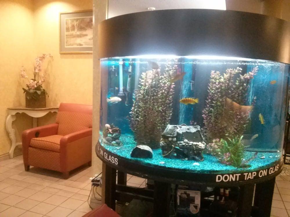 Val U Stay Inn and Suites photo 1