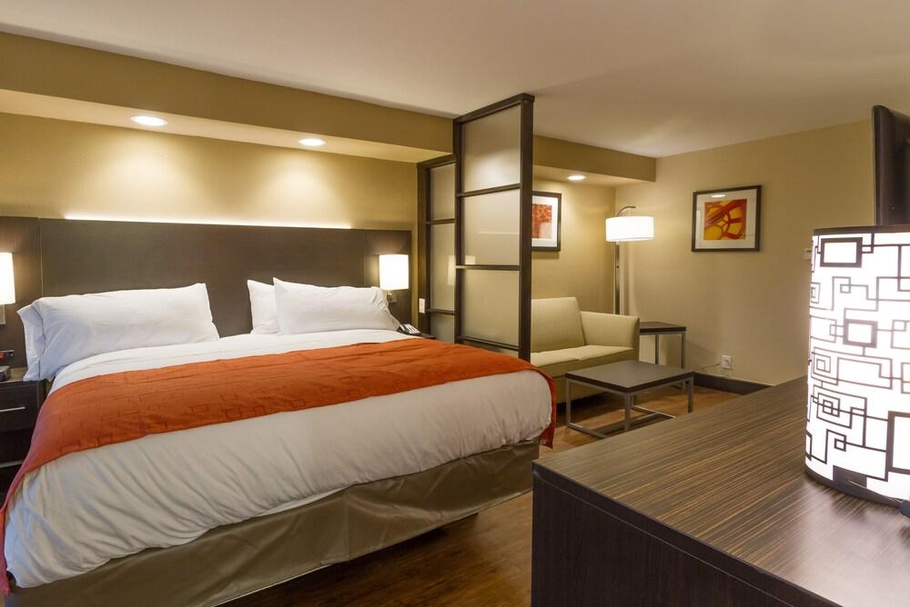 Holiday Inn Express & Suites San Antonio Medical-Six Flags by IHG photo 12