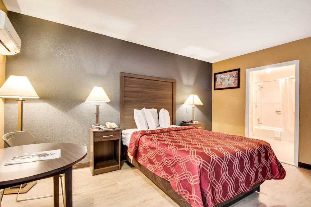 Econo Lodge Tampa near Busch Gardens photo 35