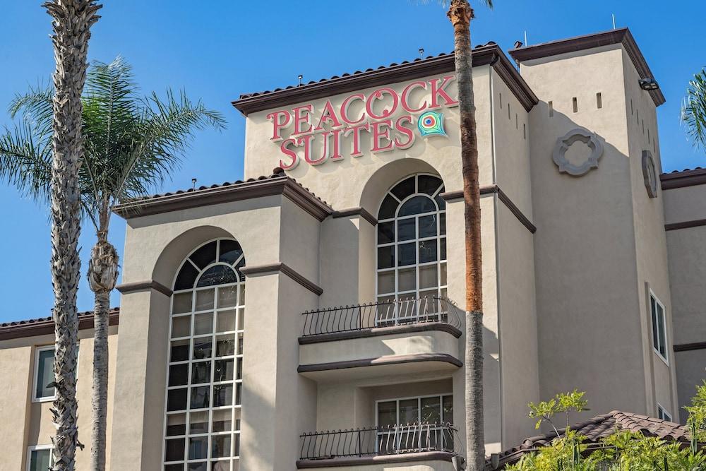 Peacock Suites photo 42