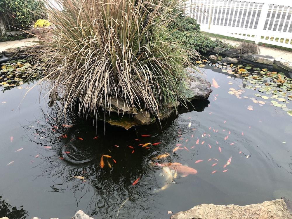 Honeysuckle Inn & Conference Center photo 52