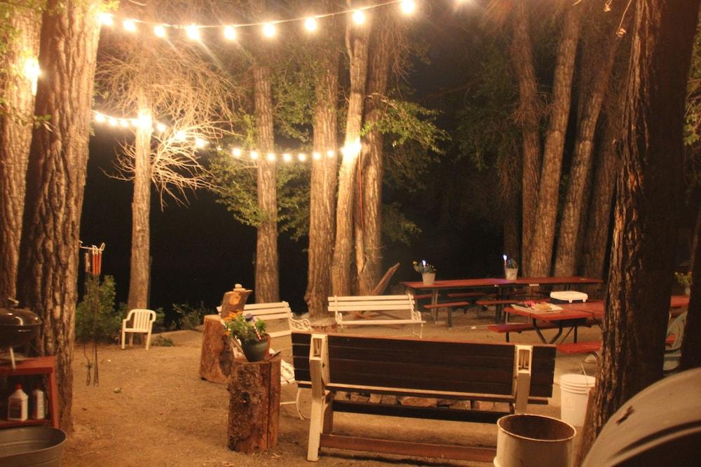 Black Bear Inn photo 46