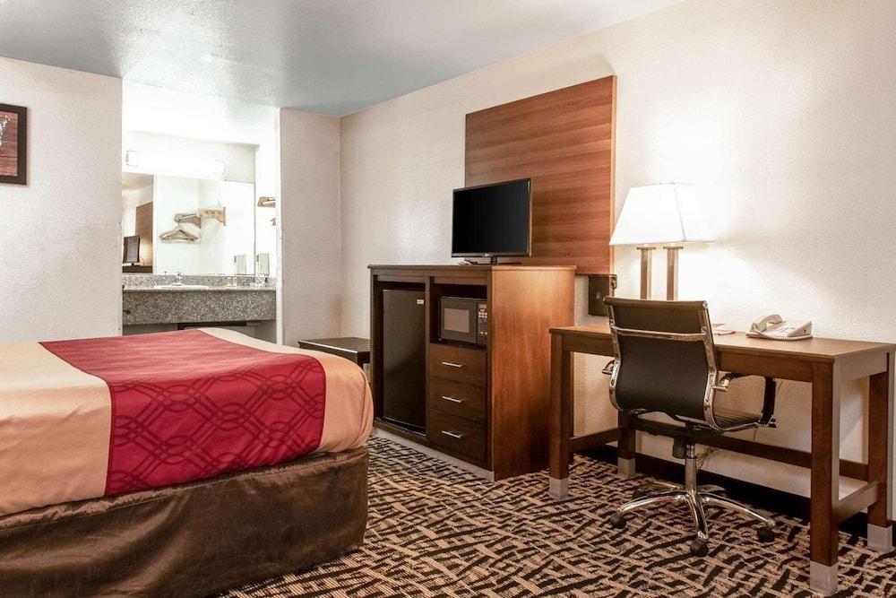 Executive Inn photo 15