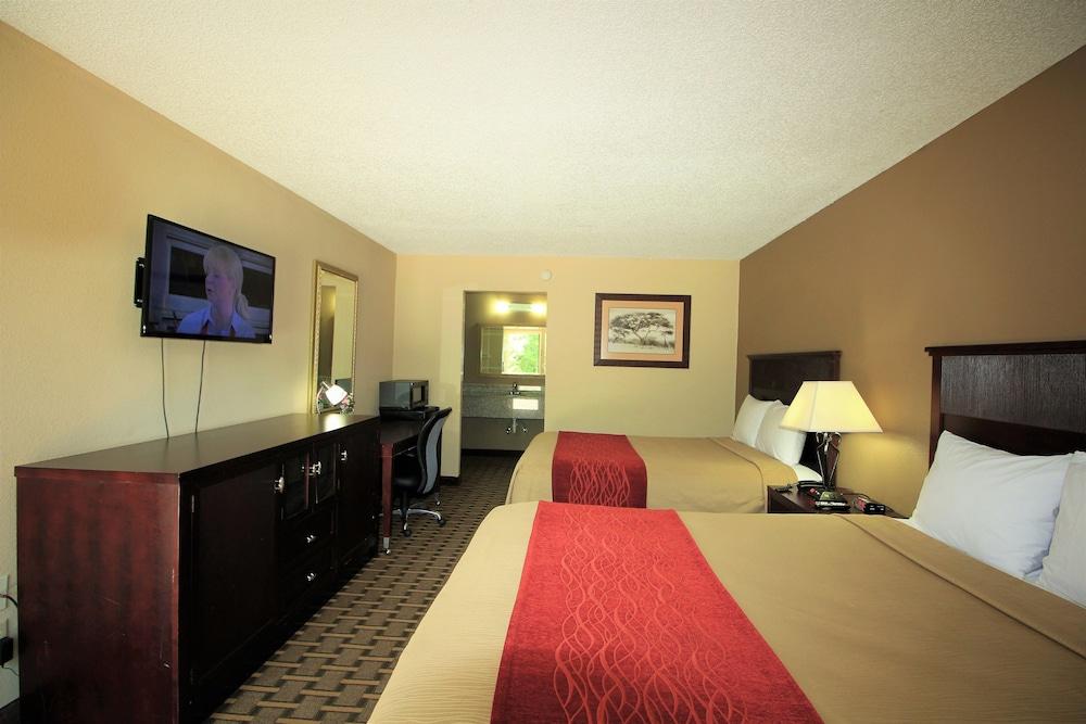 The Night Inn photo 10