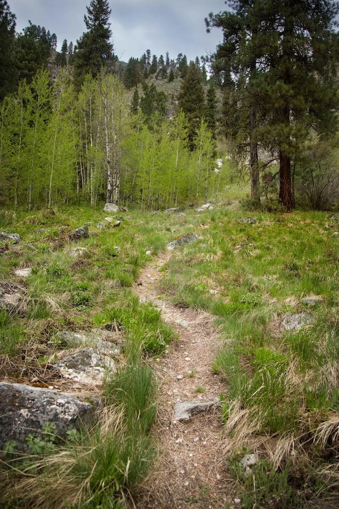 Sawtooth Lodge photo 69