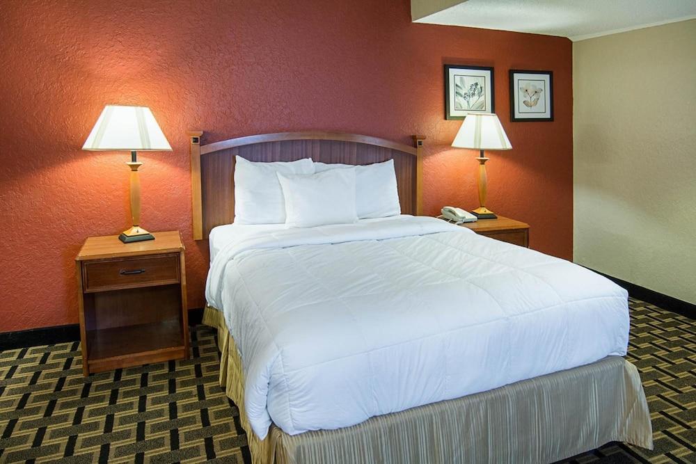 Extended Studio Suite Hotel photo 4