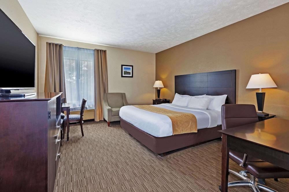 Comfort Inn Whitehall near Michigan's Adventure photo 7