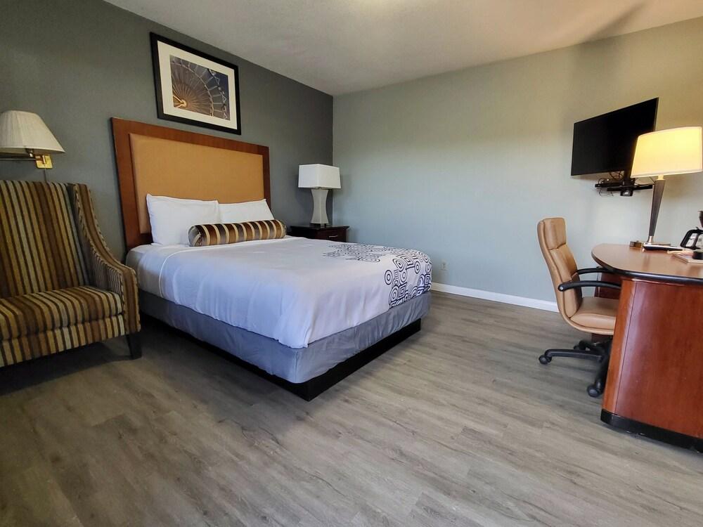 Star Inn photo 31
