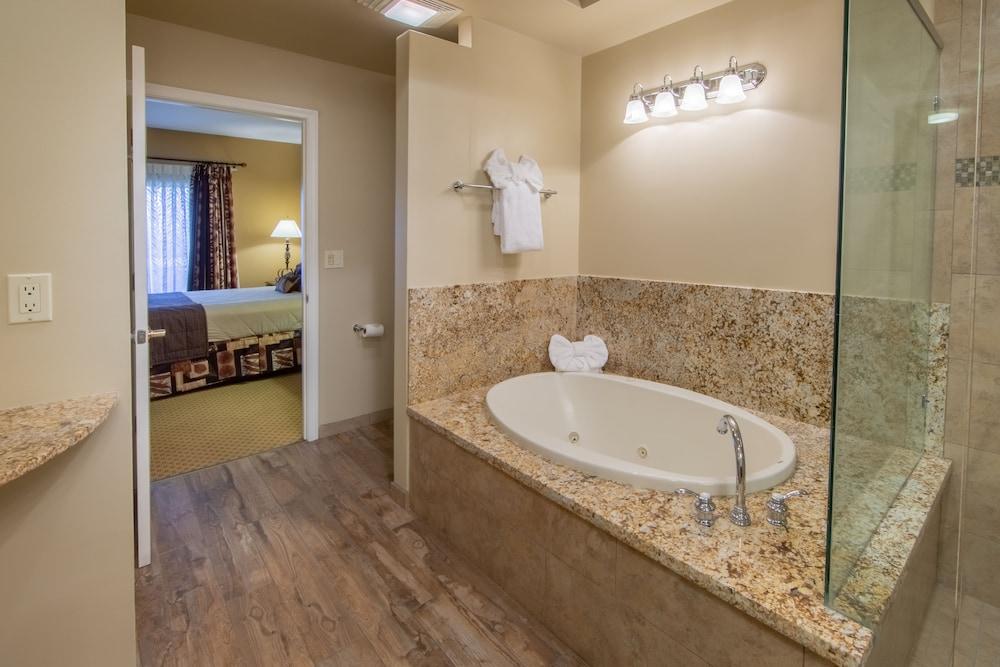 Holiday Inn Club Vacations David Walley's Resort by IHG photo 91