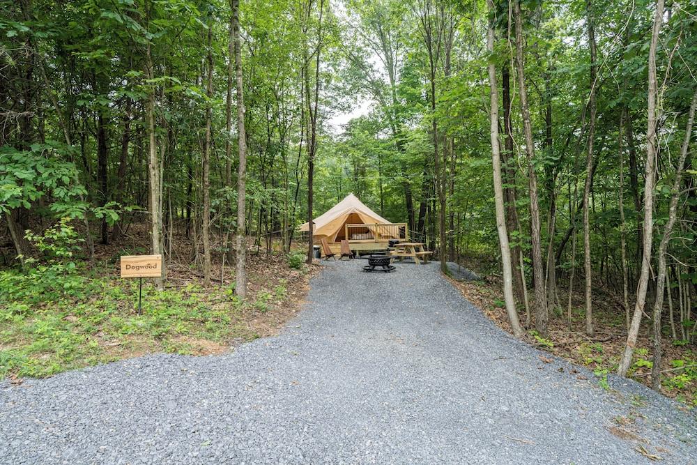 Firefly Ridge photo 5
