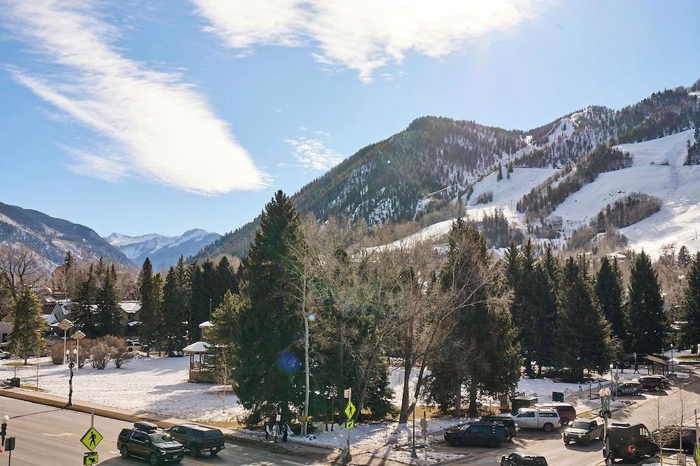White Elephant Aspen photo 2
