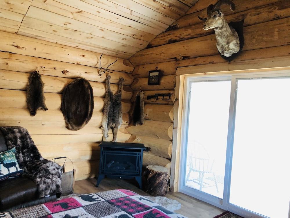 Wrangell Mountain Lodge photo 50