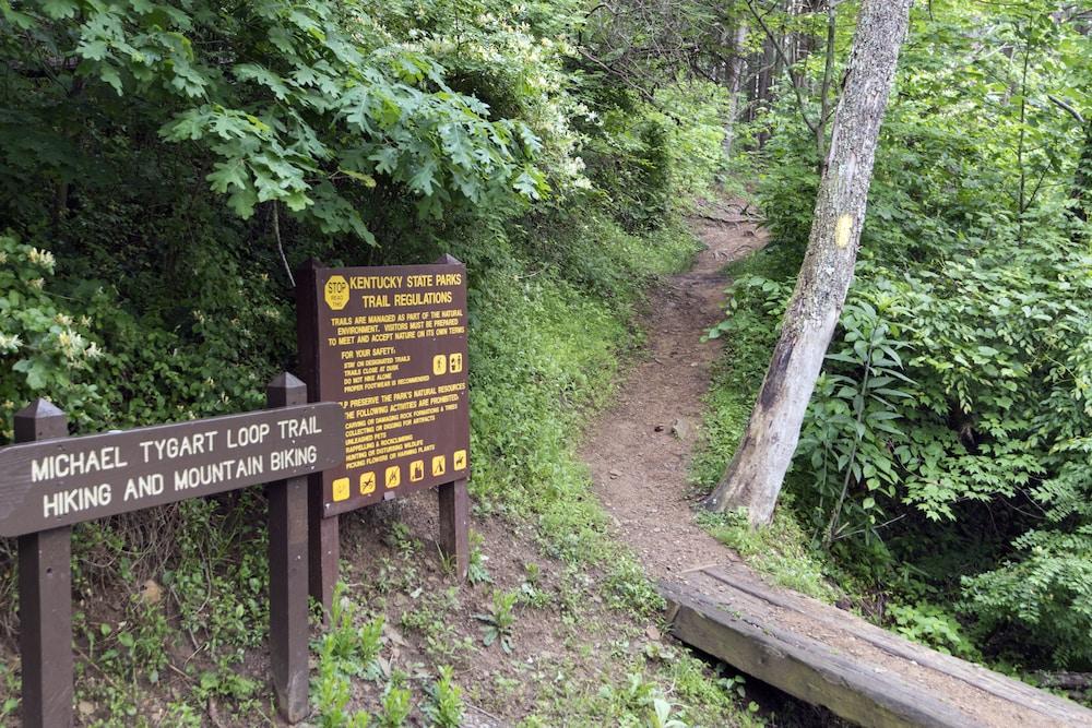 Greenbo Lake State Resort Park photo 24