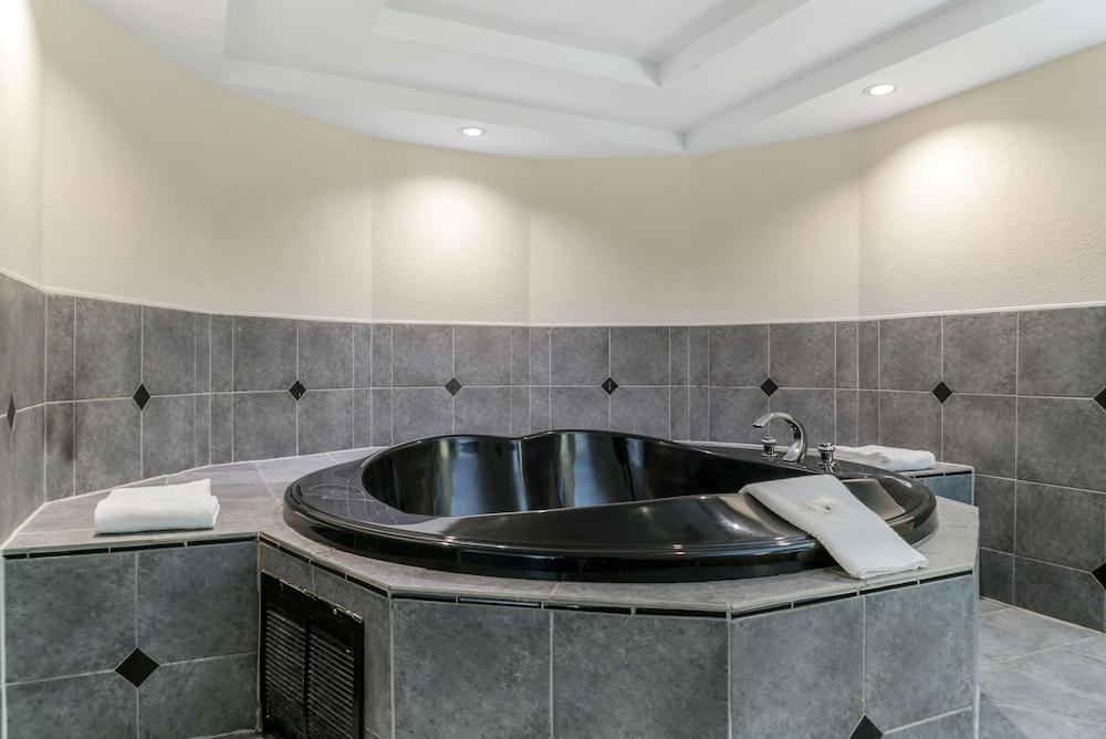 Quality Inn and Suites Livonia photo 4