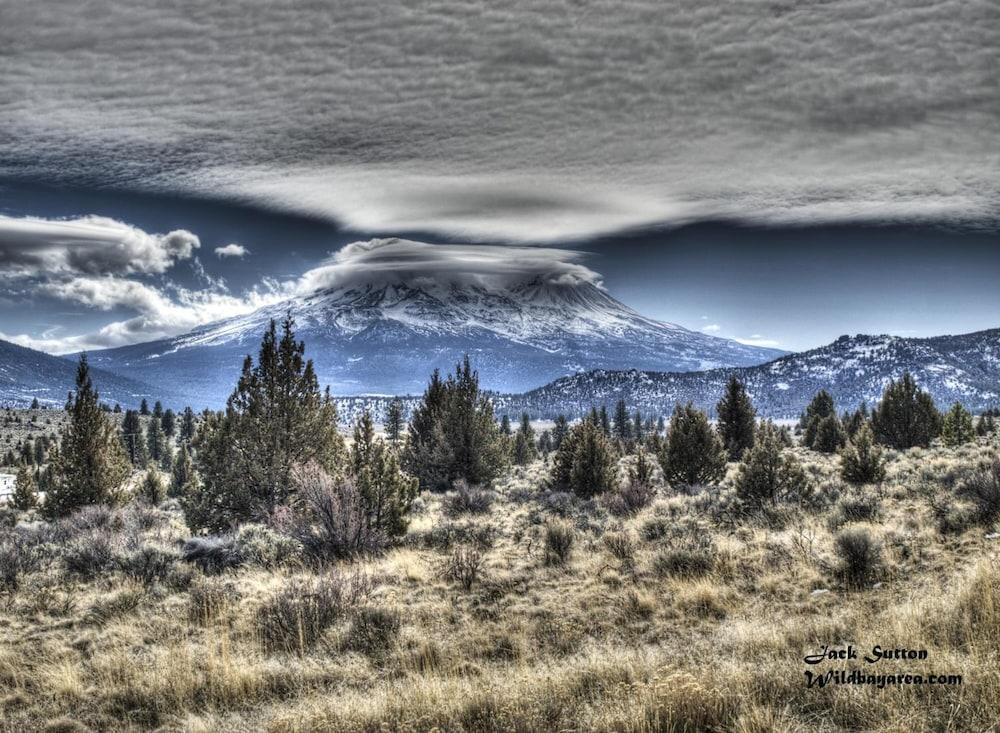 Inn at Mount Shasta photo 26