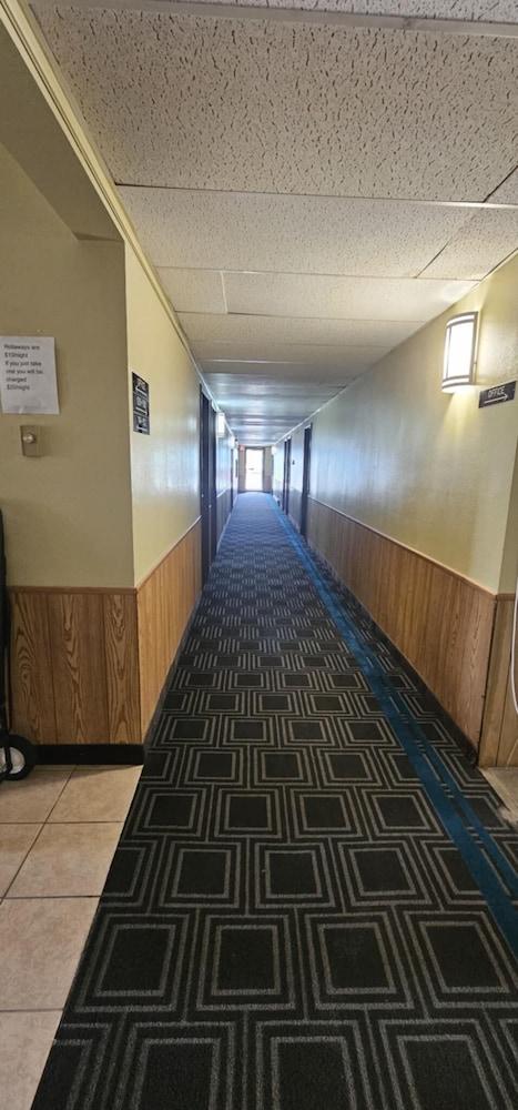 Warrior INN photo 15