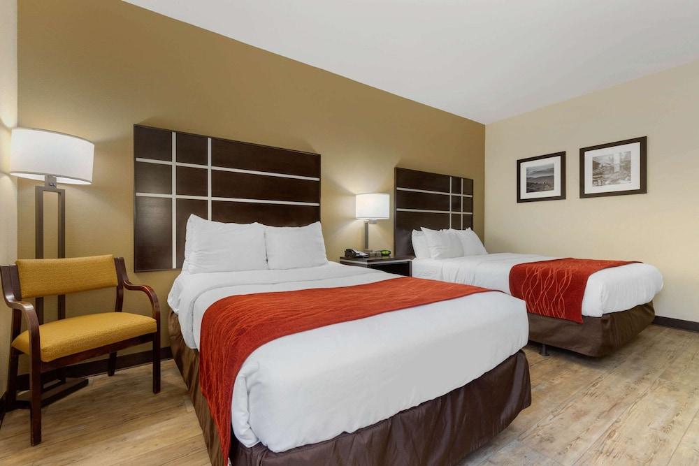Comfort Inn North of Asheville photo 20