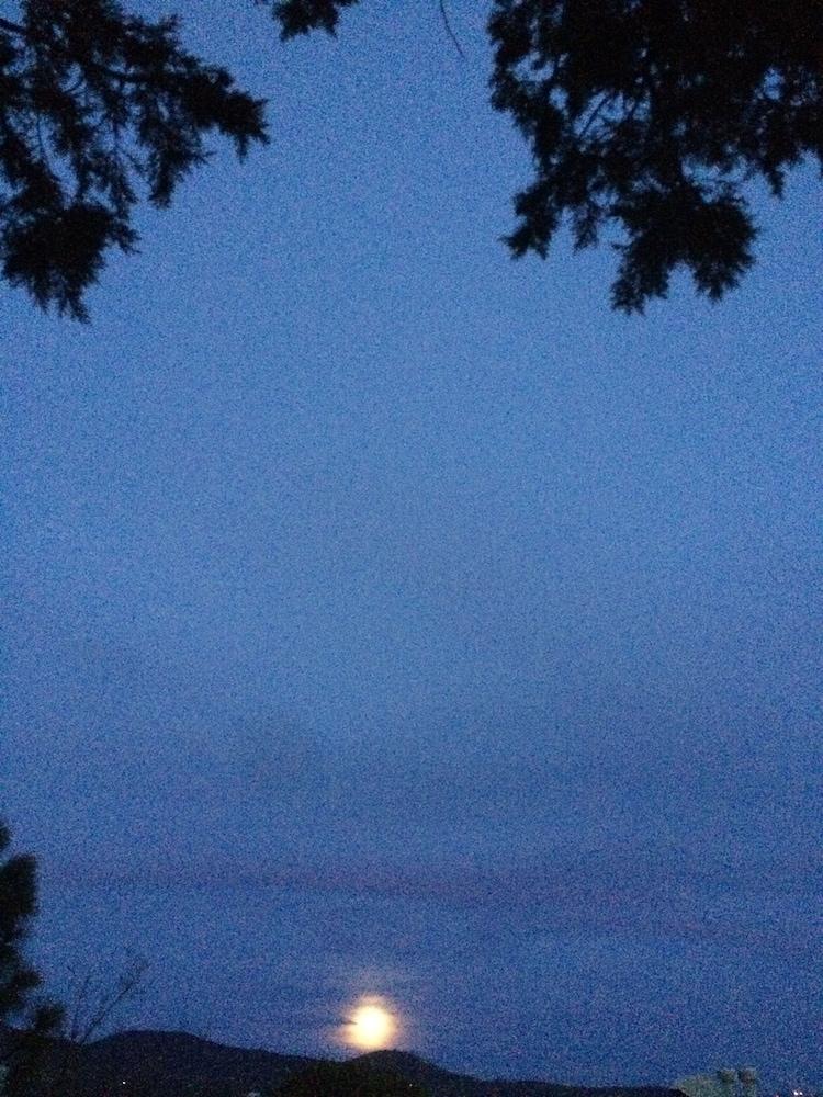 Bear Mountain Lodge photo 67