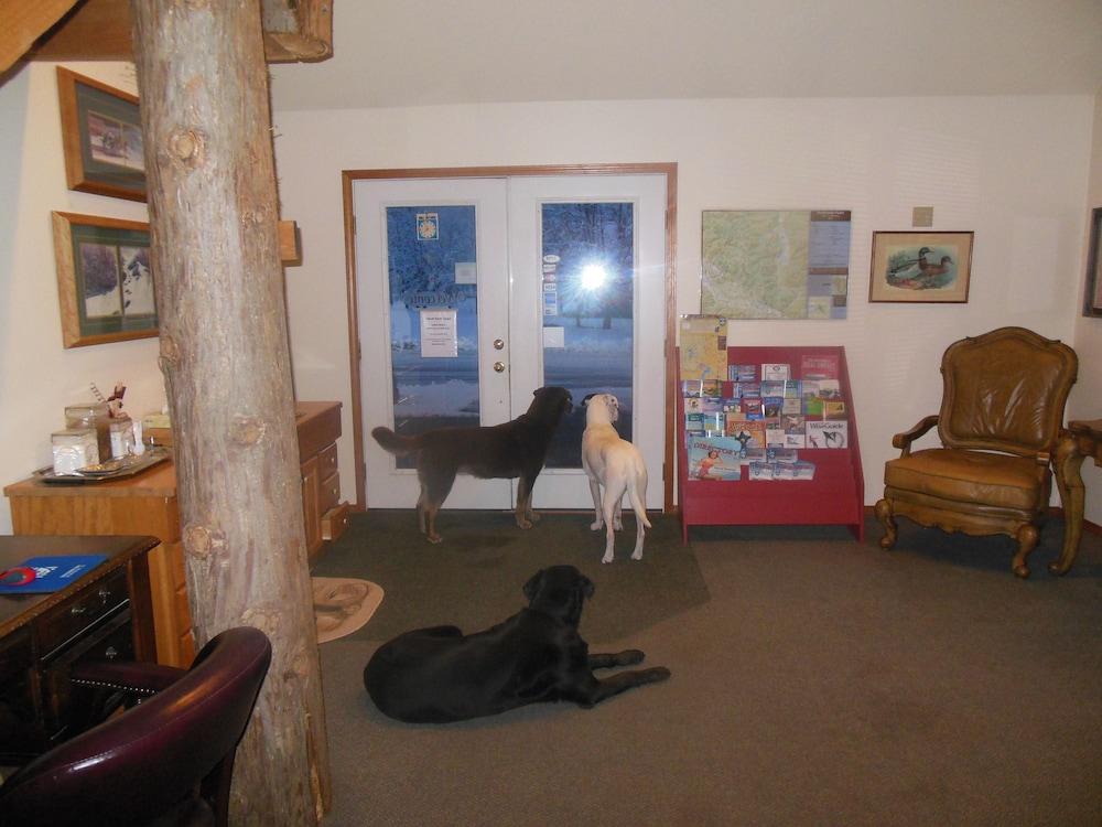 Clark Fork Lodge photo 2