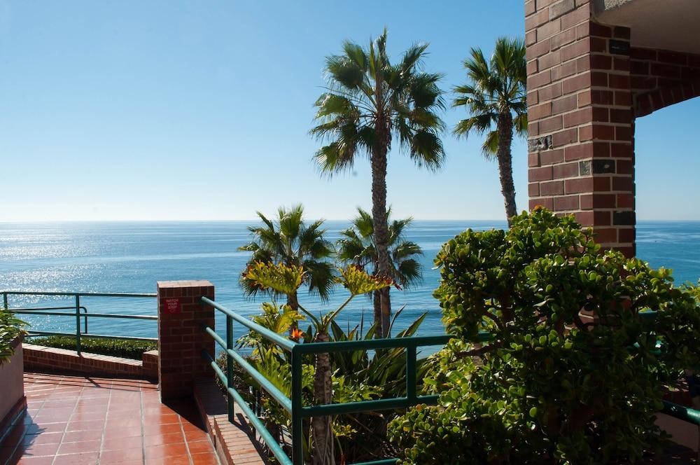 Laguna Surf photo 16