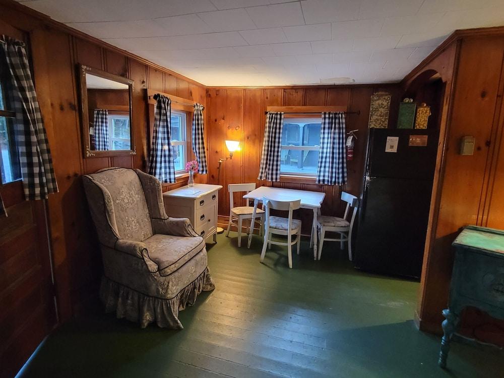 Cottage Place on Squam Lake photo 11