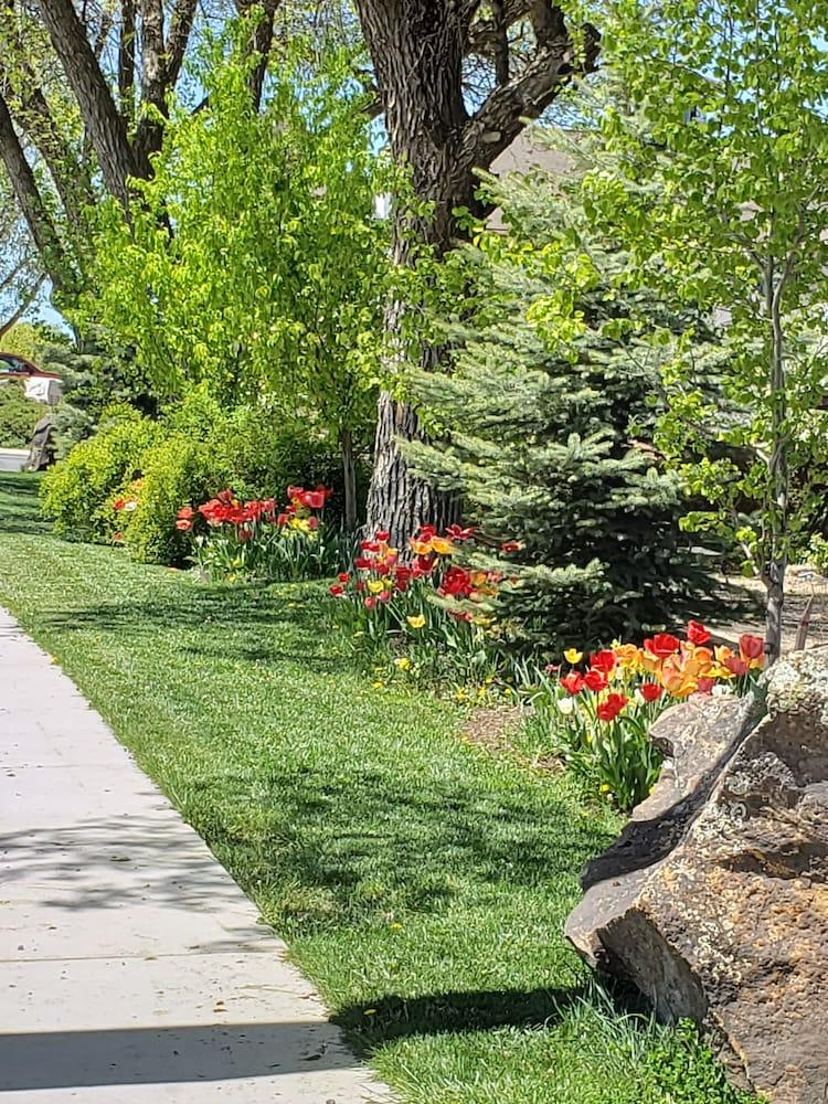 Stone Lizard Lodging photo 84