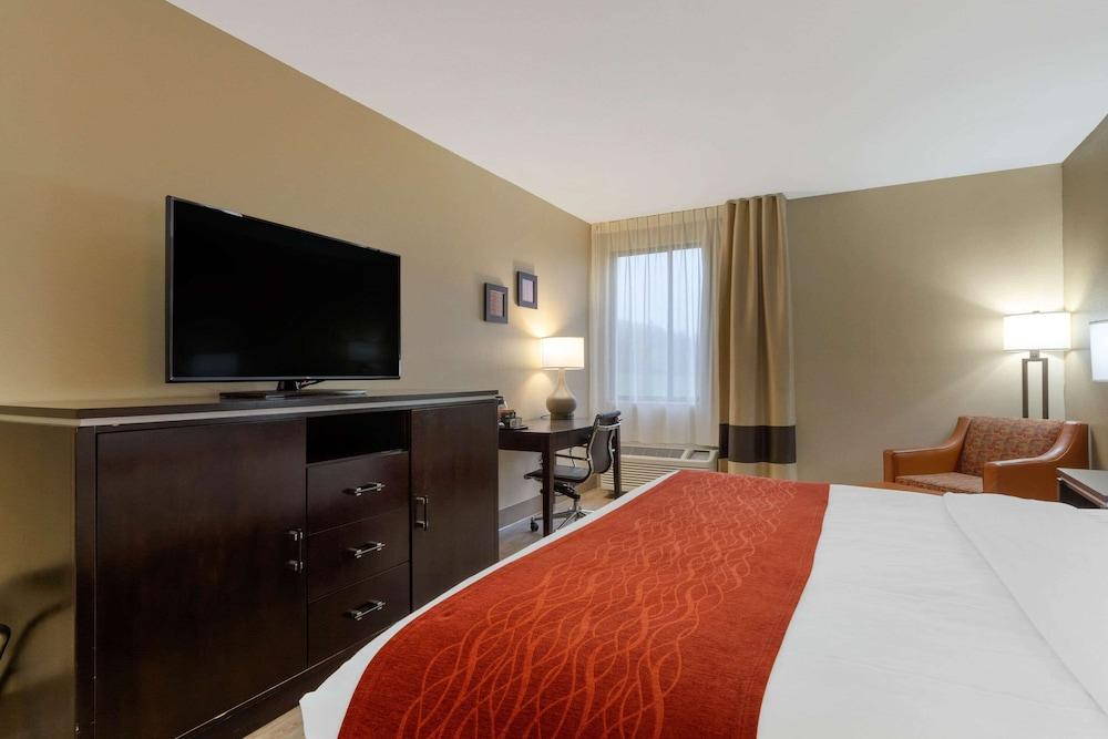 Comfort Inn North of Asheville photo 26
