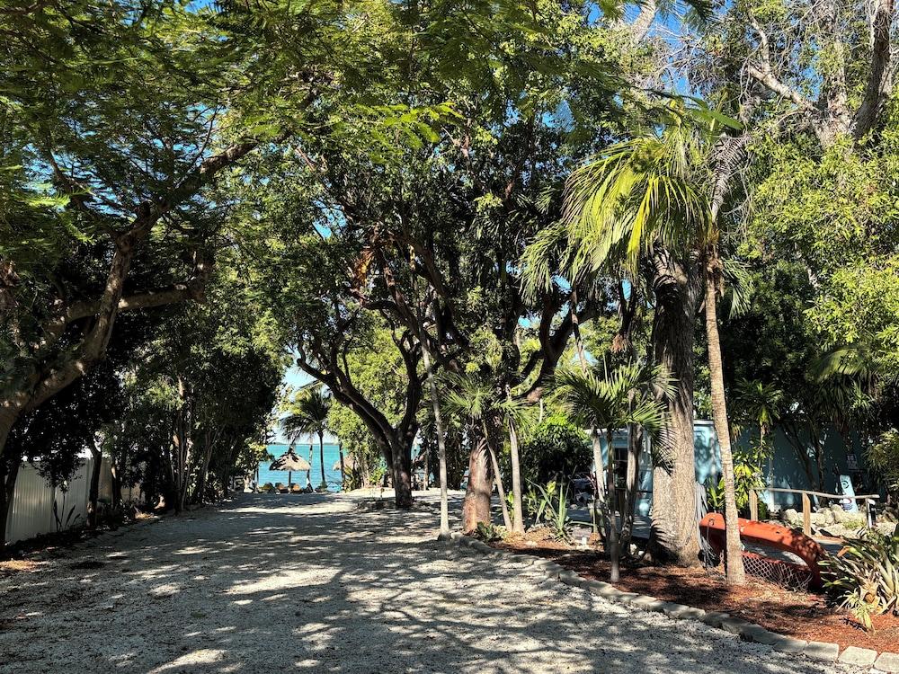 Seafarer Key Largo photo 49