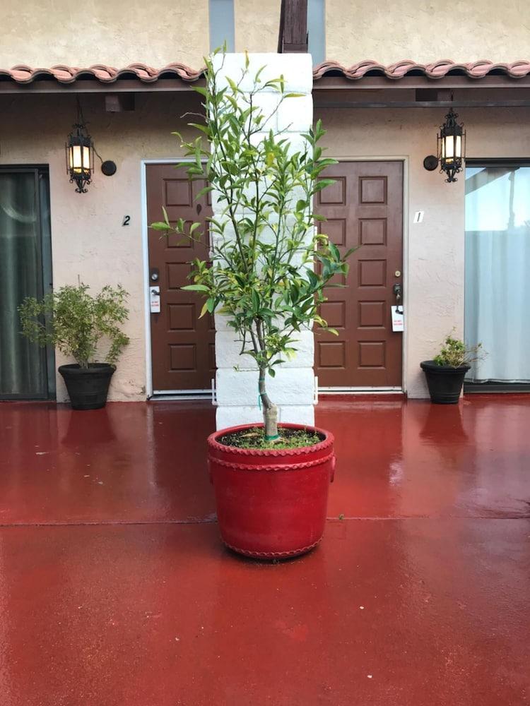 The Village Palm Desert photo 17