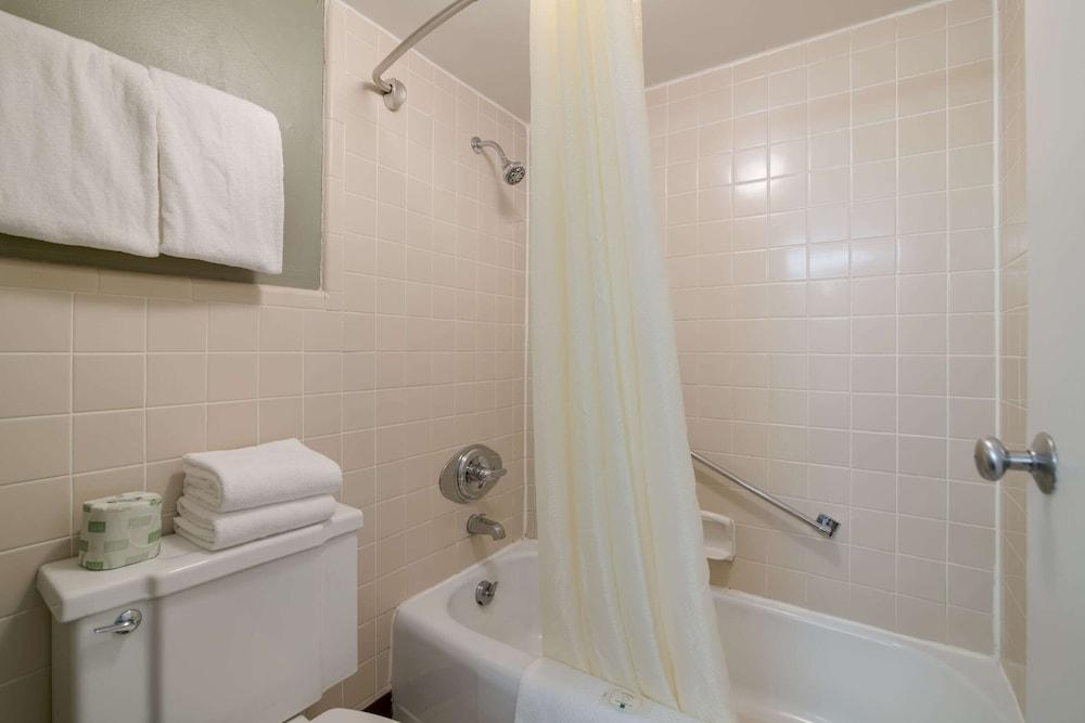 Quality Inn & Suites Auburn I-95 photo 8