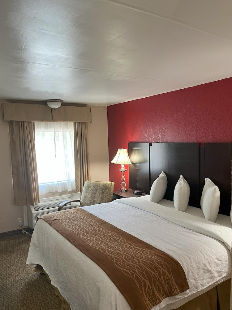 Pine Tree Inn photo 27